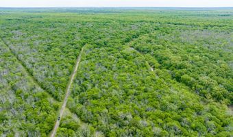 CR 4630, Annona, TX 75550