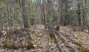 Tbd Old Mountain Road, Banner Elk, NC 28604