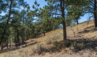 10504 Windmill Ridge Ln, Belle Fourche, SD 57717