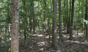 Beauty Hill Rd lot 4, Bethel Springs, TN 38315