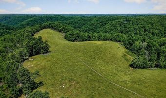 8495 Baxter Rd, Baxter, TN 38544