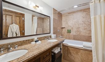 415 E Dean Unit 44a Week 9, Aspen, CO 81611