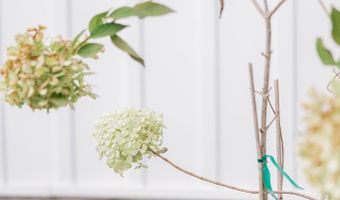 144 Yardley Ave, Baxley, GA 31513