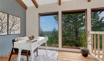 19 E Pine Dr, Bailey, CO 80421
