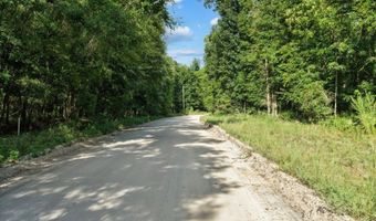 0000 73rd Way, Bell, FL 32619