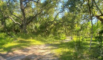 2221 NW PINE VIEW Rd, Arcadia, FL 34266