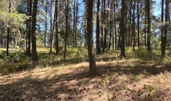 Nna Hanaford Rd Lot 8, Blanchard, ID 83804