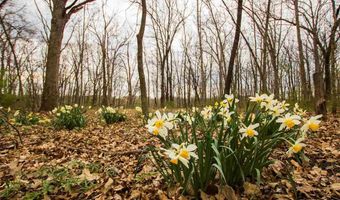 Lot 207 Mossy Trail, Morton, IL 61550