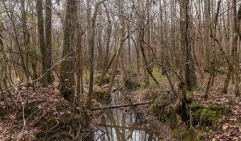 Maddox Road, Ackerman, MS 39735