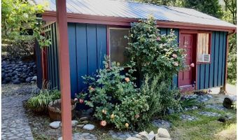 4580 OLD HOUSE CREEK Rd, Agness, OR 97406