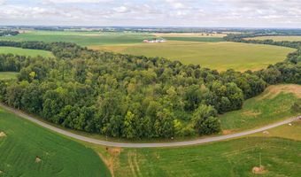 13 93 Acres Conn Rd, Adairville, KY 42206