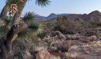 2624 S Gold Mine Rd, Yucca, AZ 86438