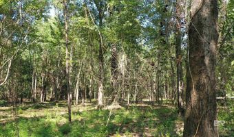 Lot 1A Harris Street, Atmore, AL 36502
