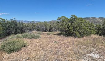 55355 Tule Peak Rd, Anza, CA 92536