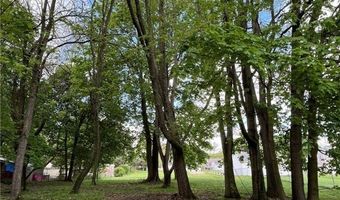 805 Utica Ave, Akron, OH 44312