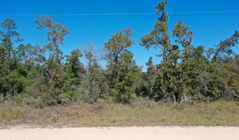 Lot 5 Blk 138 Abraham Street, Alford, FL 32420