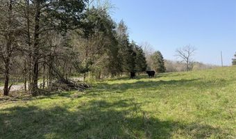 Wells Landing Road, Albany, KY 42602