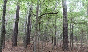 NE Hopewell Road, Brookhaven, MS 39601