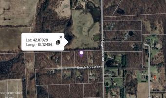 Beech Forest Ct, Addison Twp., MI 48367