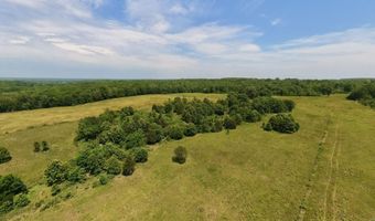 N County Road 113, Alton, MO 65606