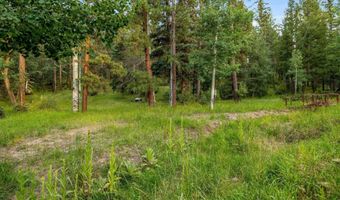 21 County Road 2043, Alpine, AZ 85920
