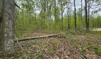 Valleyridge Circle, Alba, MI 49611