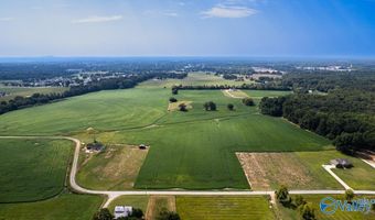30 Acres Stevenson Rd, Ardmore, TN 38449