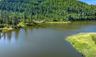 210 Rusho Lane 78 Acres, Blanchard, ID 83804
