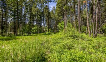 8615 Mt Hwy 35, Bigfork, MT 59911