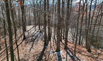 Nebo Mountain Rd. lot Multiple, Atkins, VA 24311