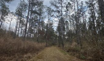 U.S. Highway 51, Bogue Chitto, MS 39629
