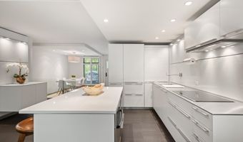 800 E Hopkins Ave A-3, Aspen, CO 81611