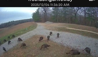 2483 County Road 314, Alton, MO 65606