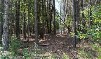 0 Highway 140 Tract E NW, Adairsville, GA 30103