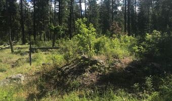 41 Quiet Rd, Athol, ID 83801