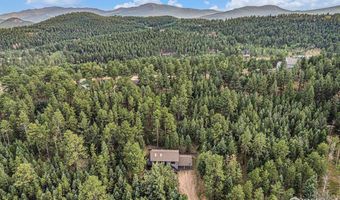 1050 Yellow Pine Dr, Bailey, CO 80421