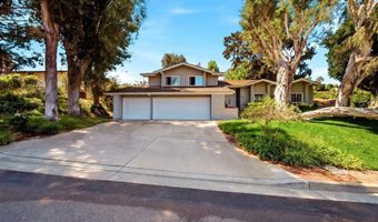 425 Loma Larga, Solana Beach, CA 92075
