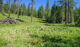 NKA Meadowland Drive, Blanchard, ID 83804