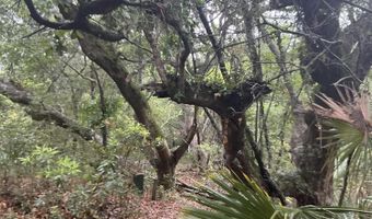 8 Leopard Frog Ct Lot 18, Bald Head Island, NC 28461