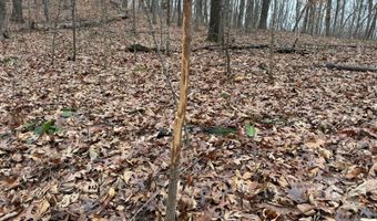 TBD1 E Willow Rd, Bloomfield, IN 47424