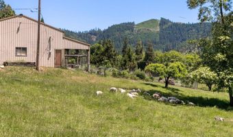 1106 Upper Cow Creek Rd, Azalea, OR 97410