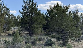 HWY 140 300, Beatty, OR 97621