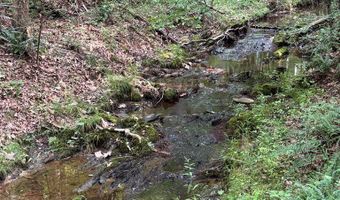 9891 Baskerville Rd, Baskerville, VA 23915