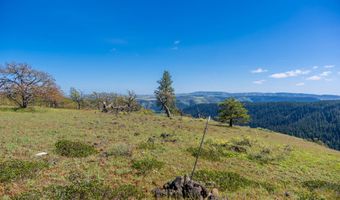 350 BREWER Rd, Appleton, WA 98602