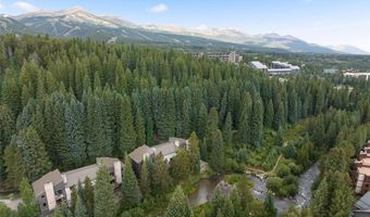 1374 BROKEN LANCE Dr D, Breckenridge, CO 80424