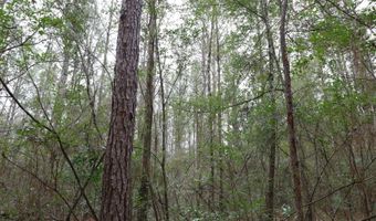 TBD Hwy. 29, Brooklyn, MS 39425