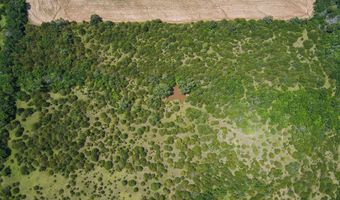 81 3+/- Acres SW Boyer Rd, Augusta, KS 67010
