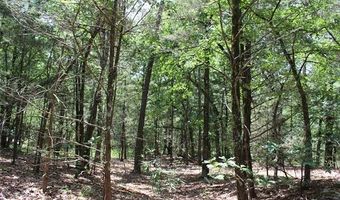 5 E 1909 Rd, Antlers, OK 74523