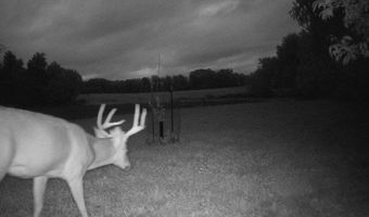 27 Mile Rd, Albion, MI 49224