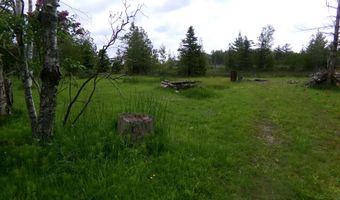 3305 El Cajon Beach Rd, Alpena, MI 49707